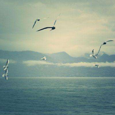 MRCAT体育娱乐下载APP/手机APP下载全新版